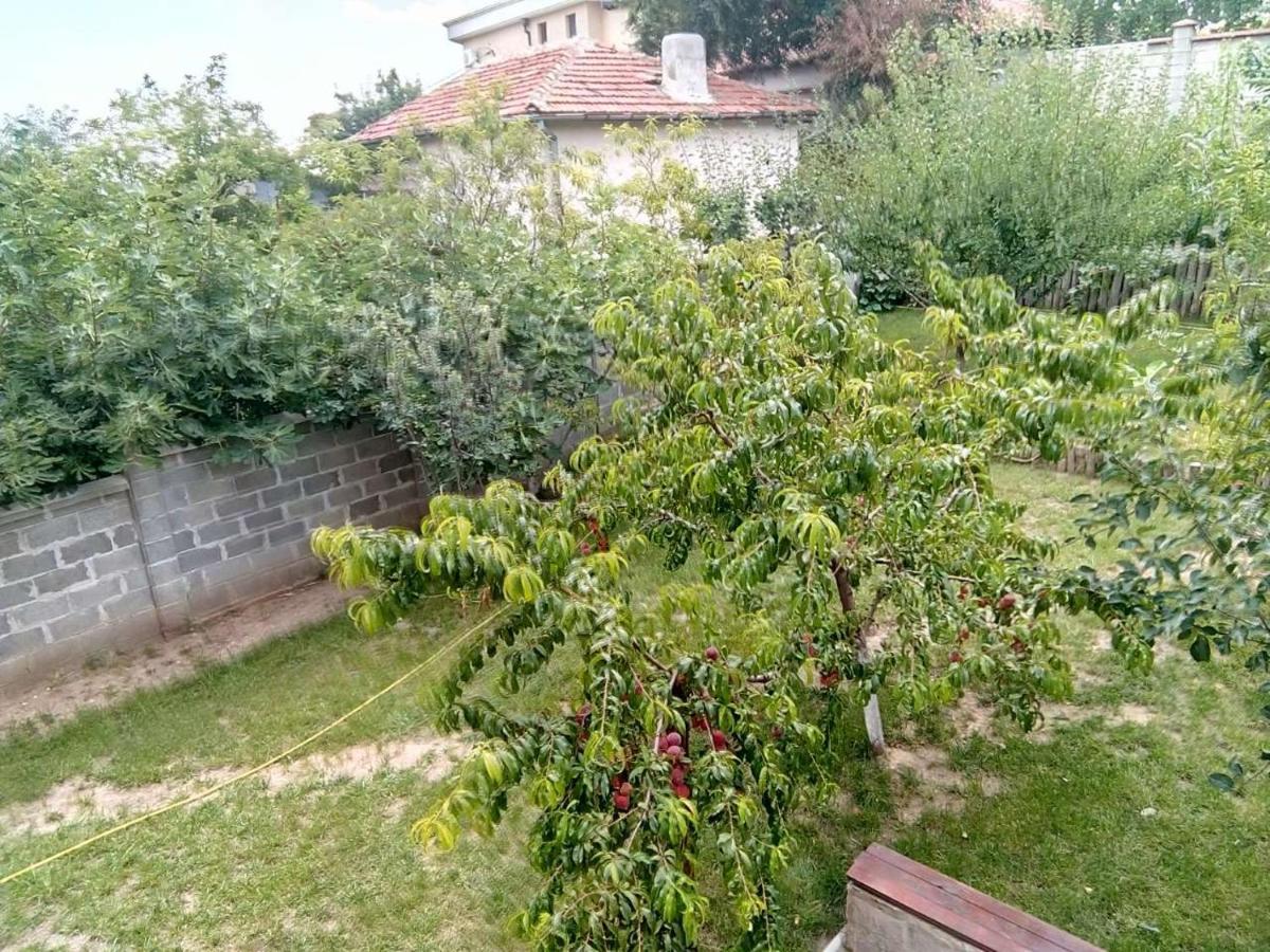 Alfa Guest Rooms With Parking Varna Buitenkant foto